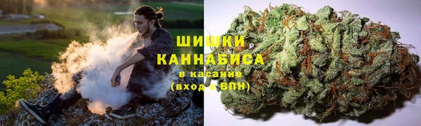 не бодяженный Каменногорск
