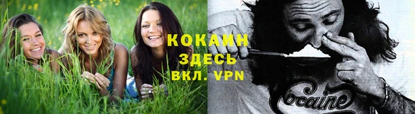 меф Иннополис