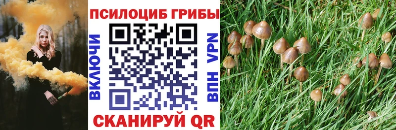 Псилоцибиновые грибы ЛСД  Купить где  Карасук 